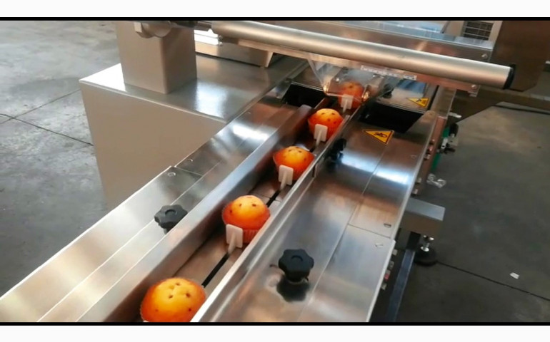 Ensacheuses horizontales